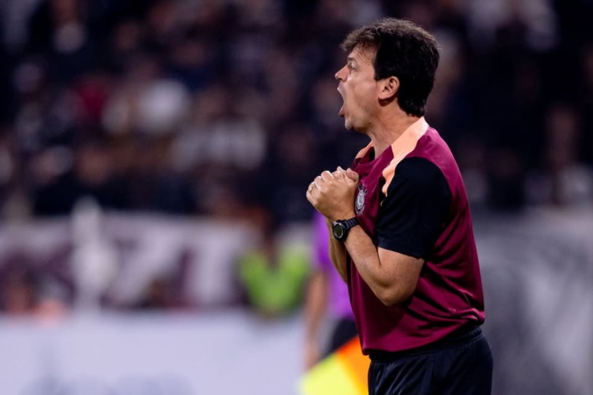 Fernando Diniz