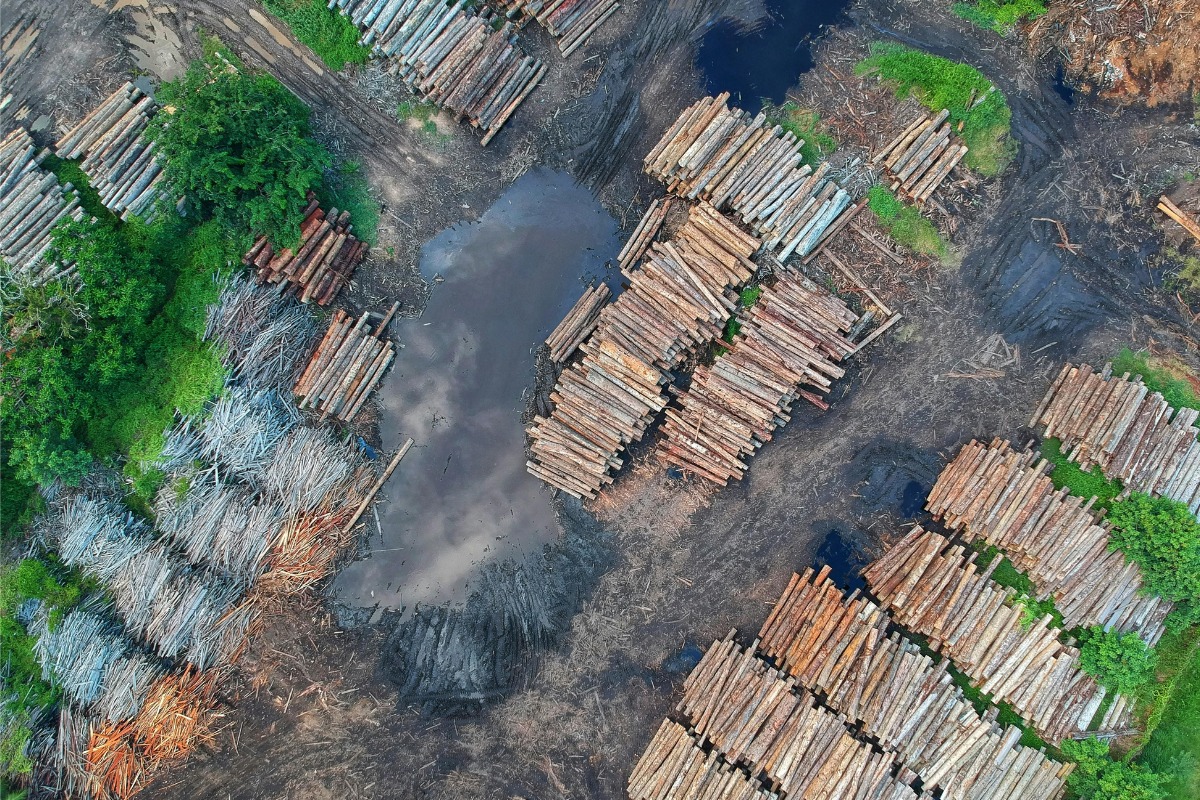 Foto: Pexels/Pok Rie