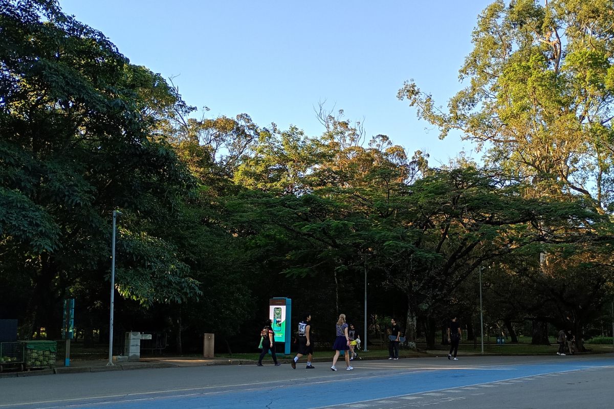 Parque Ibirapuera, na Zona Sul de São Paulo