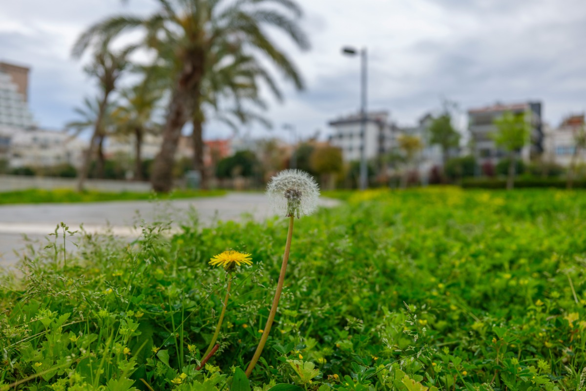 Foto: Unsplash/engin akyurt