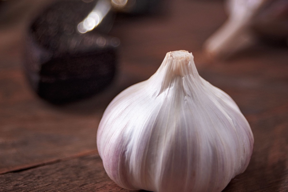 Foto: Pexels/Marcelo Verfe