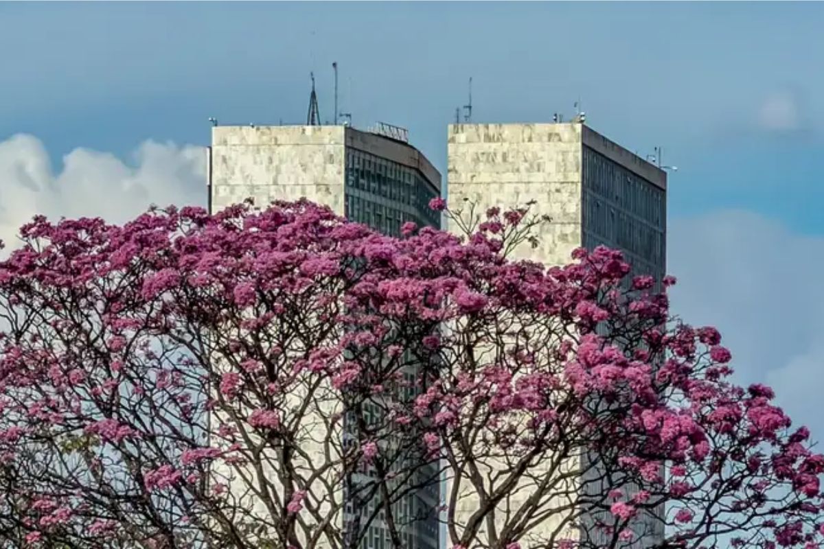 Congresso deve permanecer em recesso até o final de julho