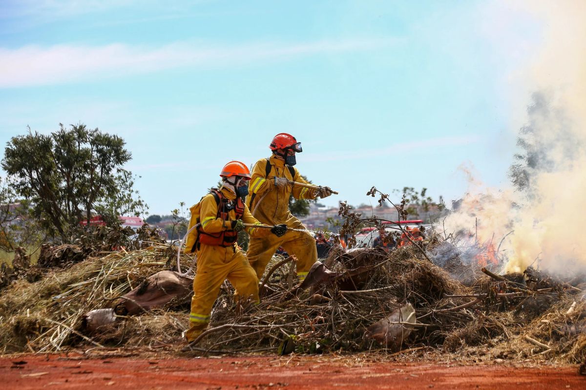 Ocorrência de incêndios aumenta durante príodos de estiagem