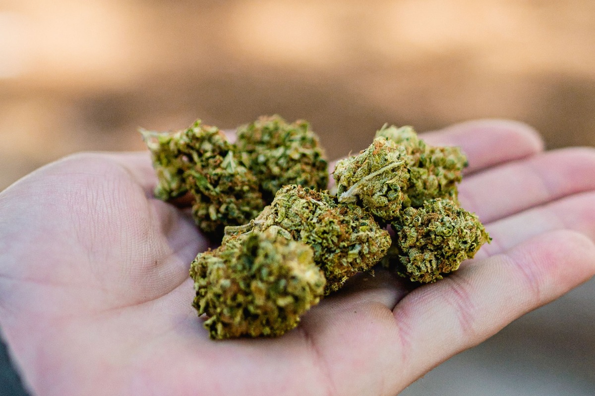 Foto: Pexels/Lucas Fonseca 