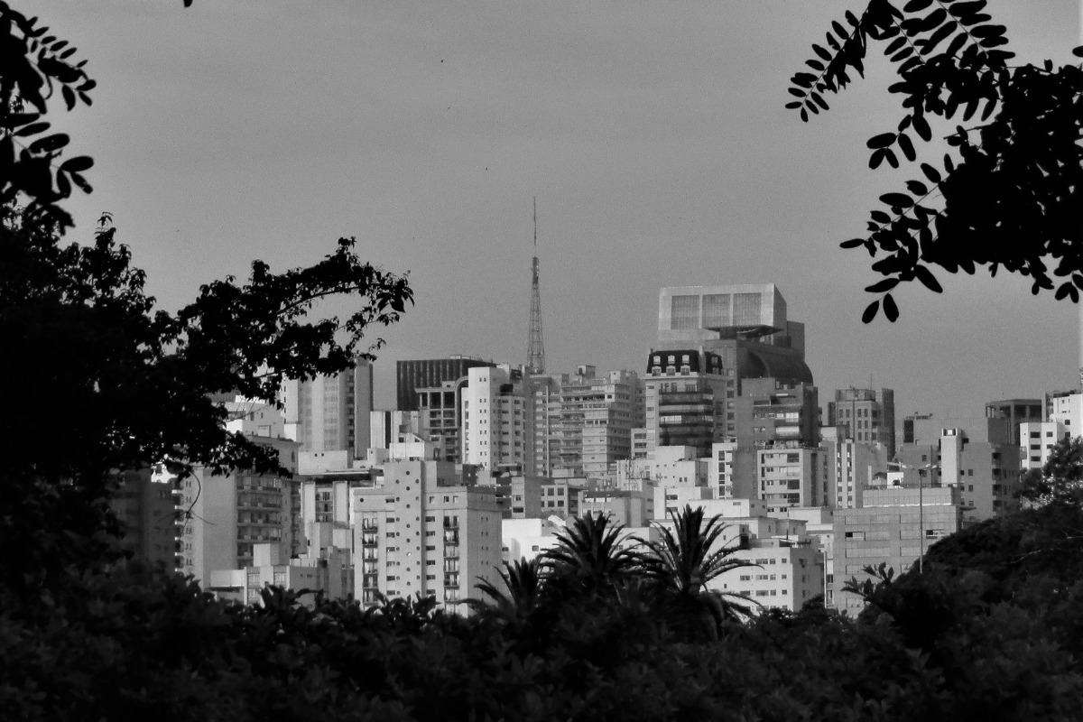 Foto: Pexels/Celso Osh