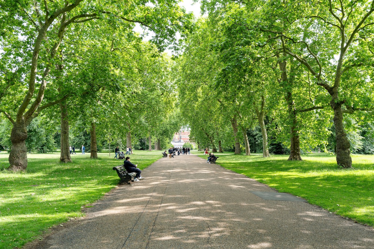 Foto: Pexels/Bob Jenkin