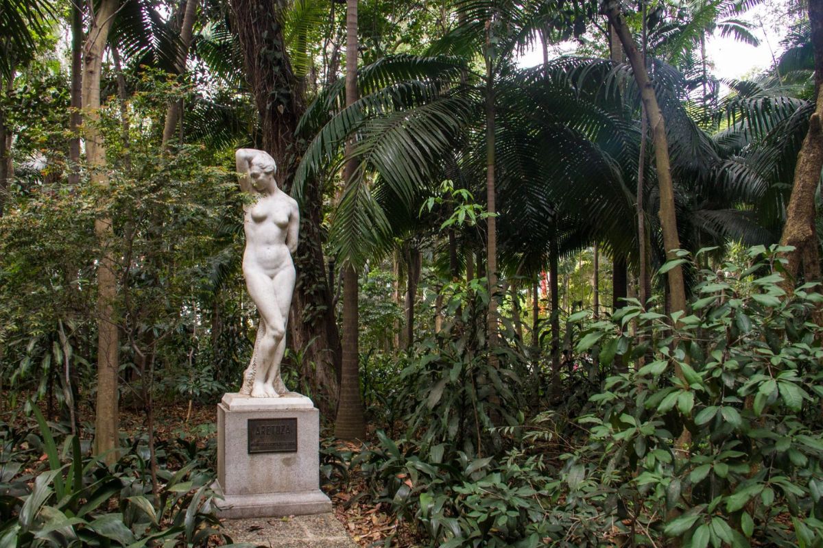 Foto: Reprodução/Prefeitura de SP