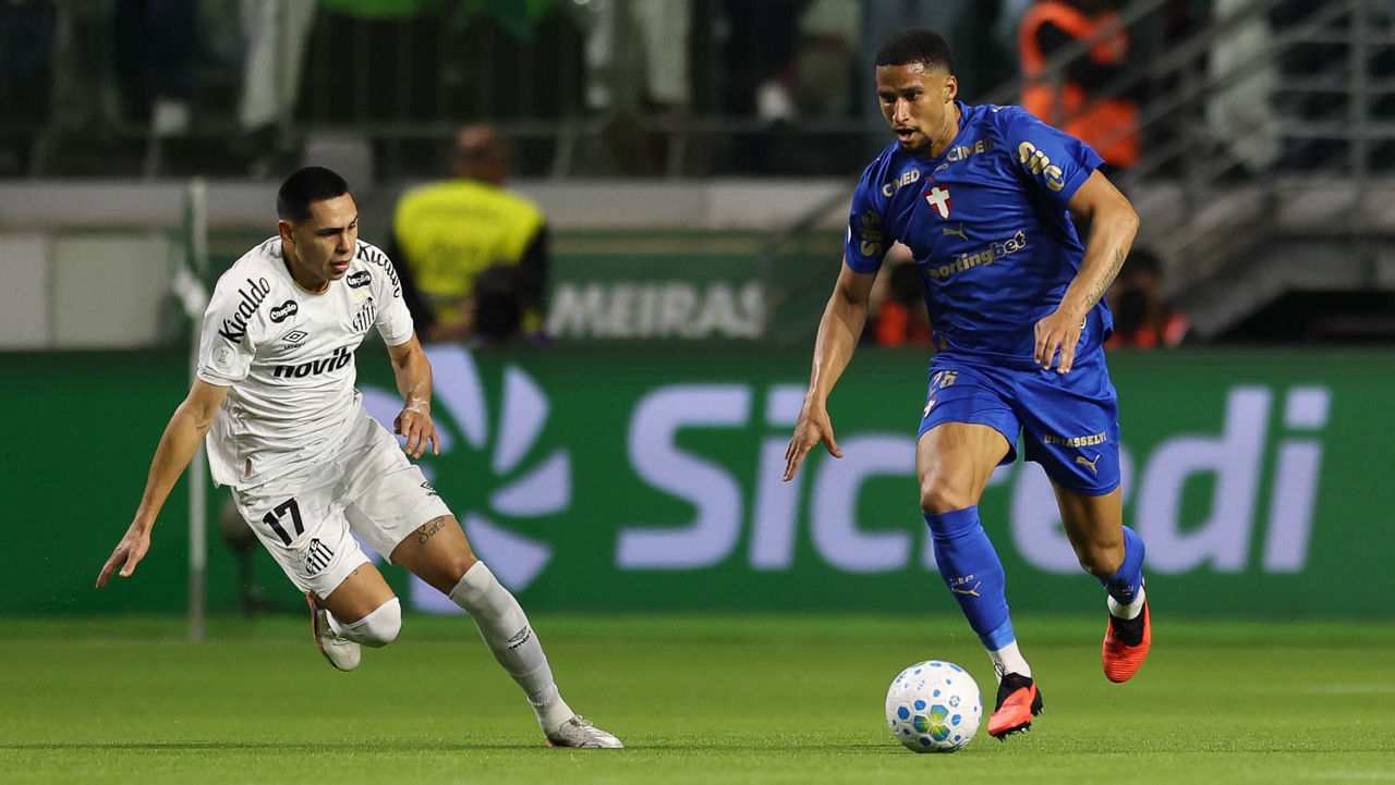 Jogo entre Palmeiras e Santos