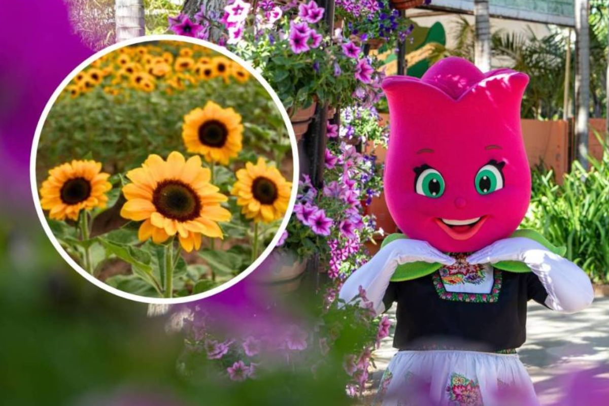 Foto: Divulgação/Expoflora