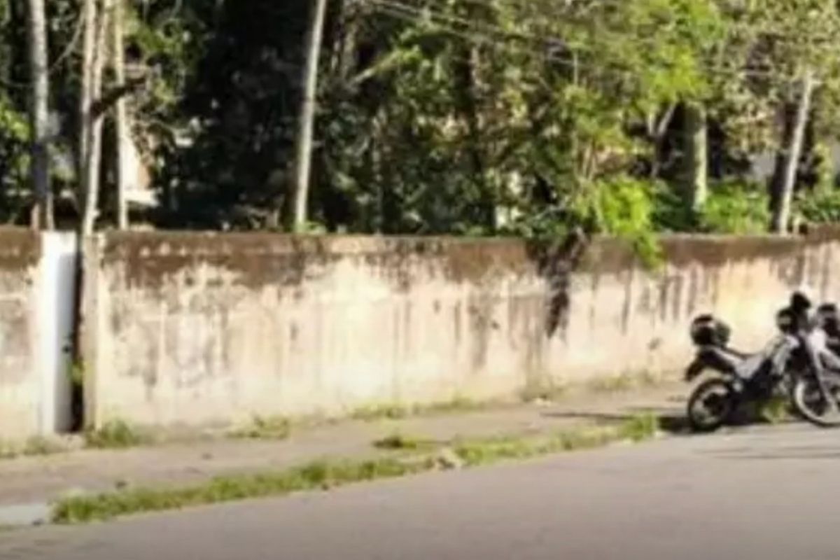 Foto: Divulgação