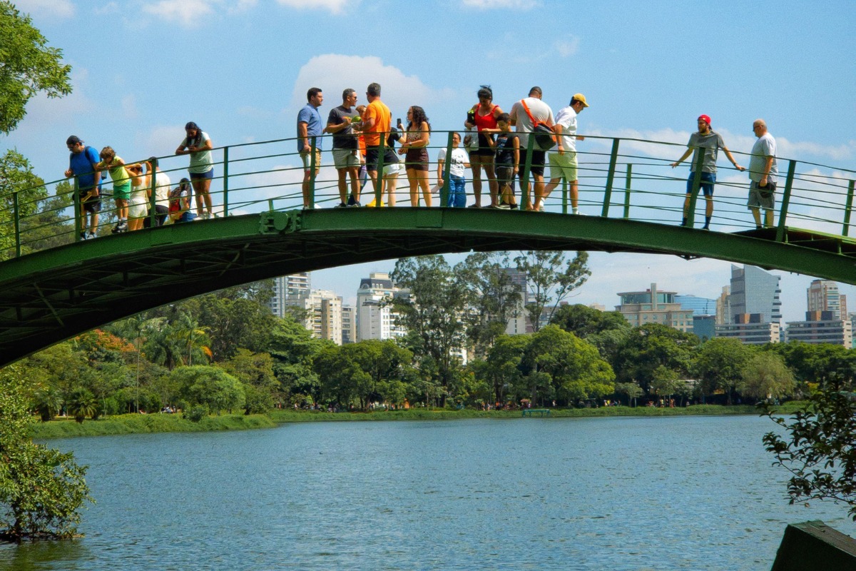 Foto: Pexels/Andre Moura