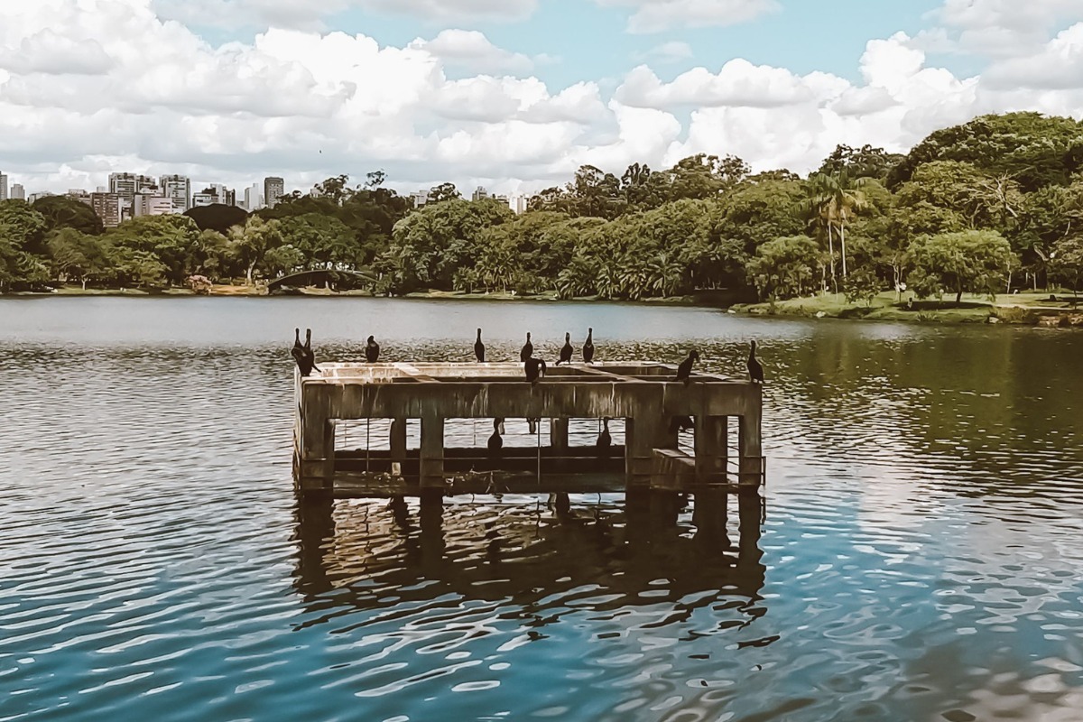 Foto: Pexels/Beto Mendes