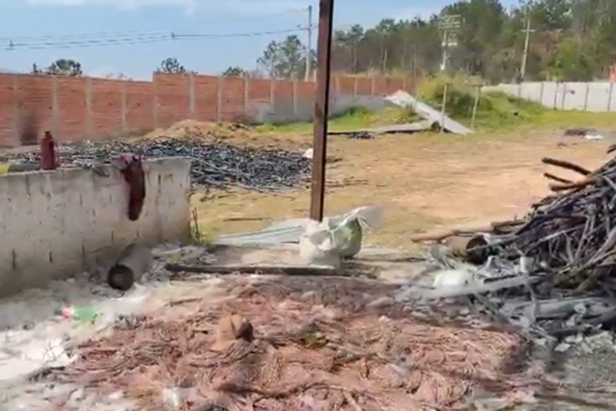 Foto: Reprodução/Governo de SP