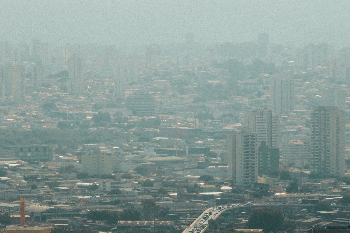 Foto: Pexels/Matheus Santana