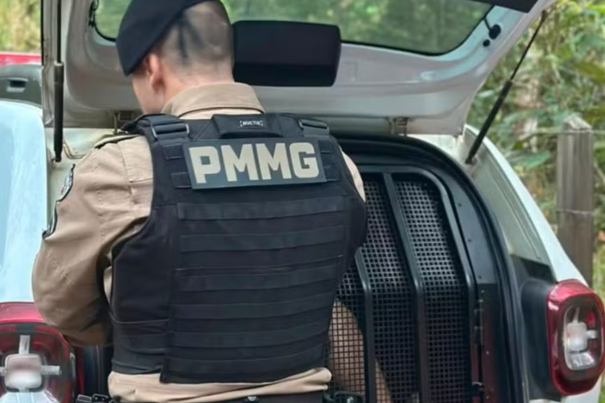 Foto: Reprodução/Polícia Militar de Minas Gerais