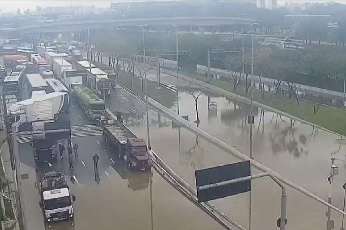 Foto: Reprodução/TV Globo