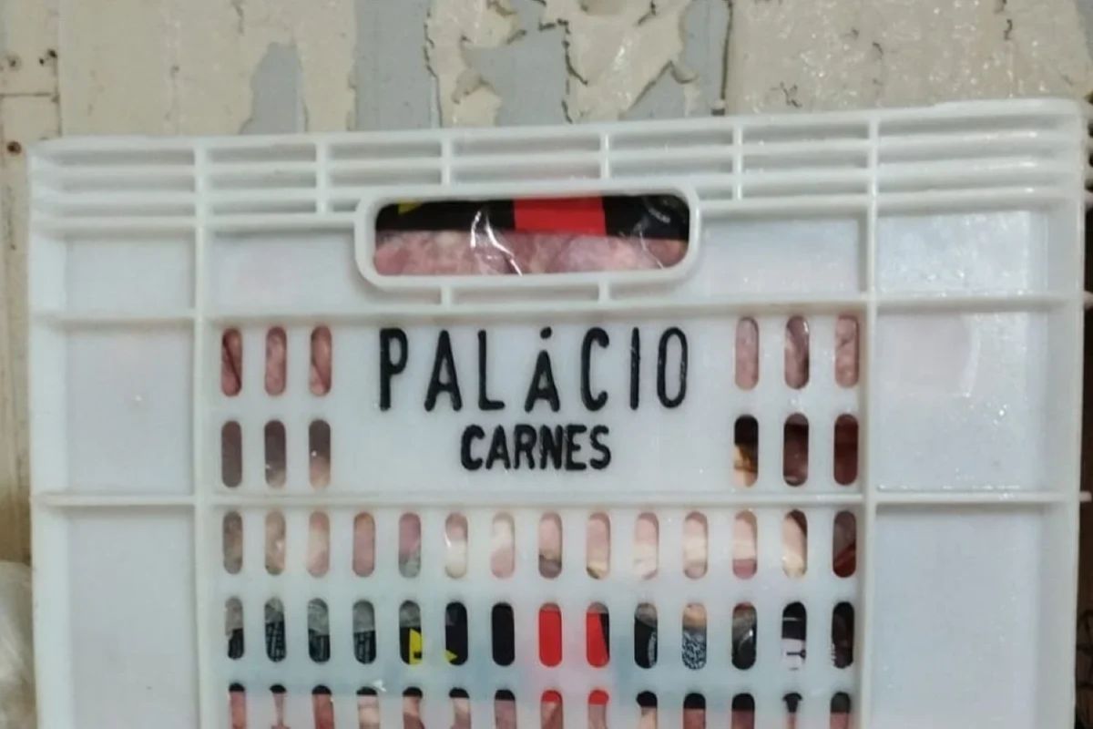Foto: Divulgação/Polícia Civil