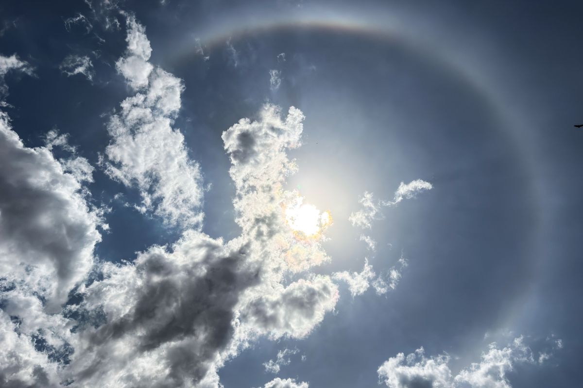 Sol São Paulo