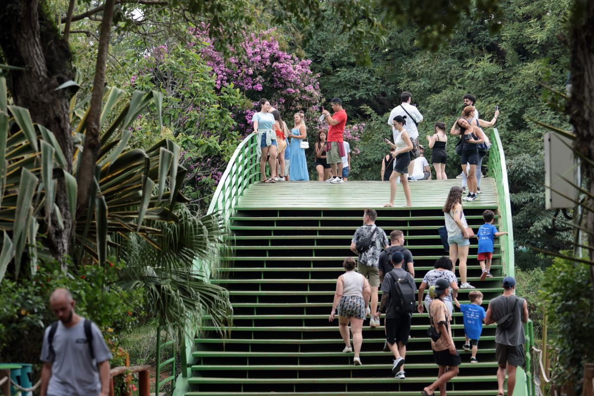Ibirapuera sol