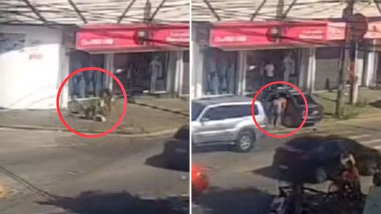 Foto: Divulgação/Polícia Civil