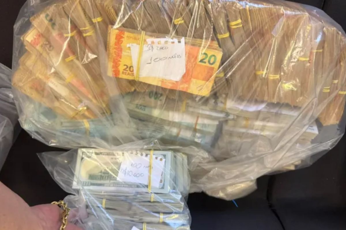 Foto: Dinheiro encontrado no imóvel | Polícia Civil de São Paulo