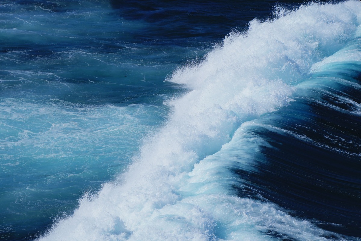 Foto: Pexels