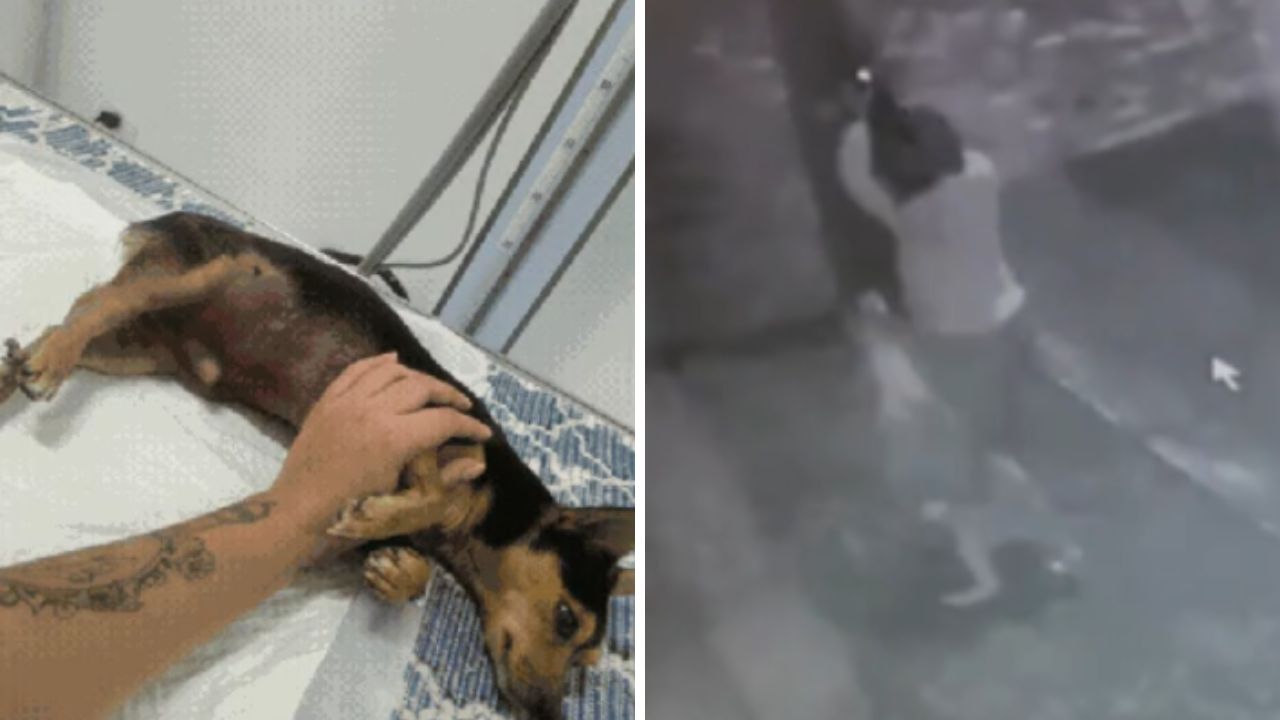 Foto: Reprodução / Arquivo pessoal / TV Tribuna
