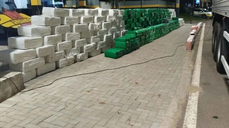 Foto: Reprodução/FICCO-SP