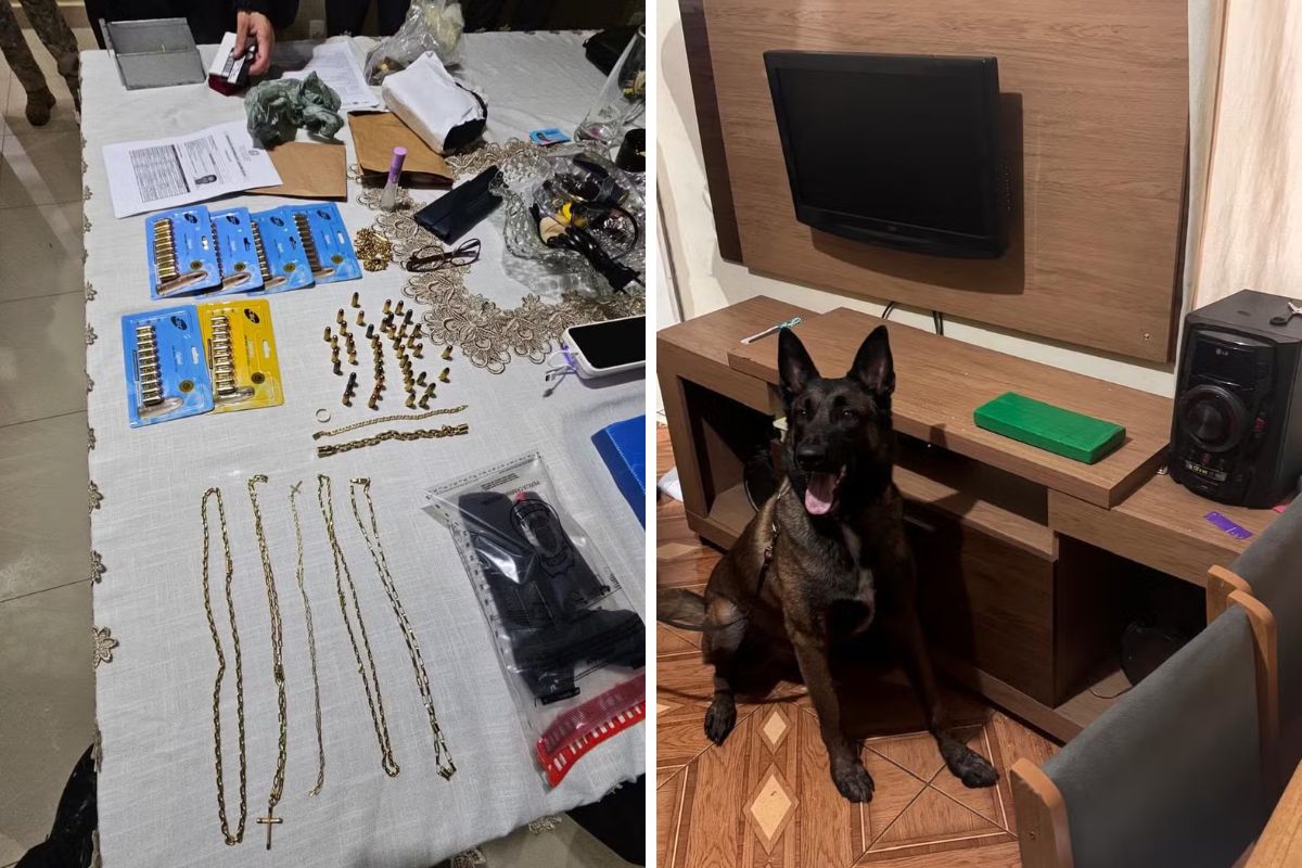 Foto: Polícia Federal/Divulgação