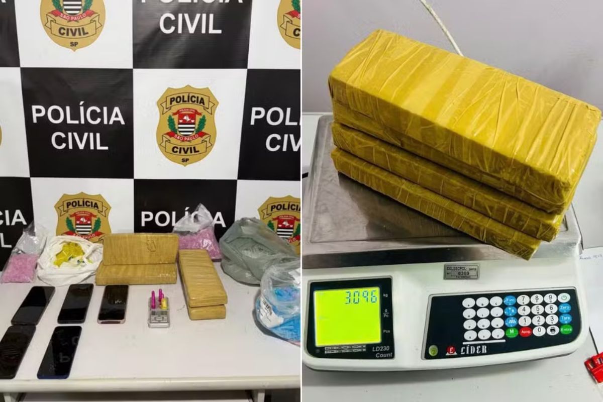 Foto: Divulgação/Polícia Civil