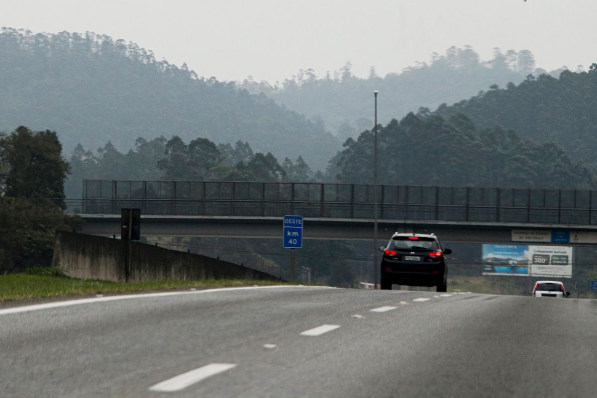 Rodovia São Paulo