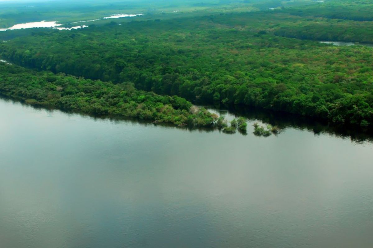 Amazonia