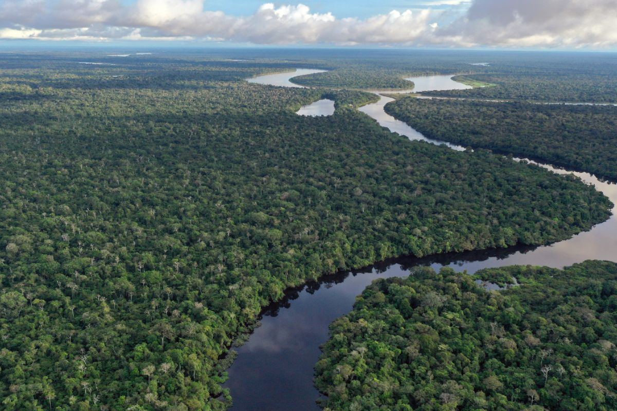 Amazonia
