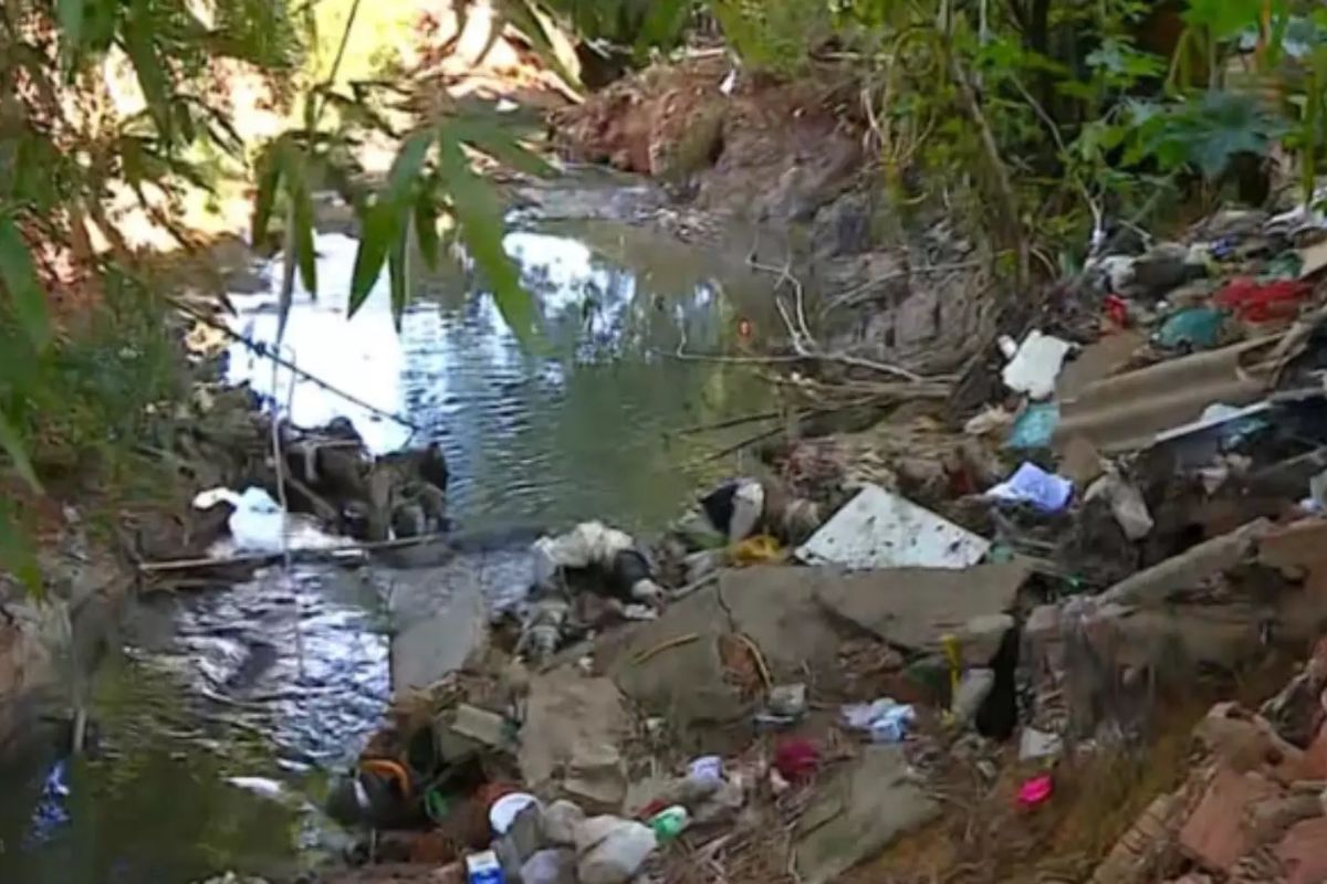 Foto: Reprodução/EPTV