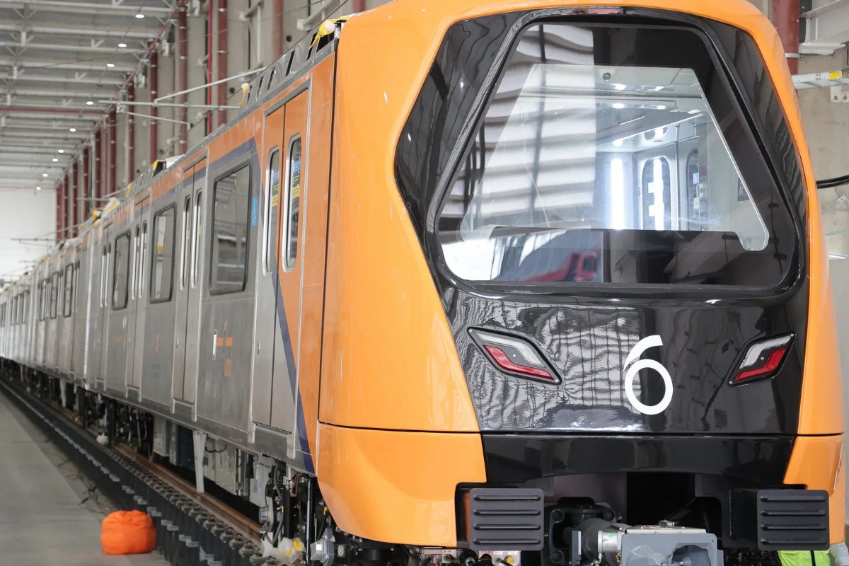 Linha 6 Laranha