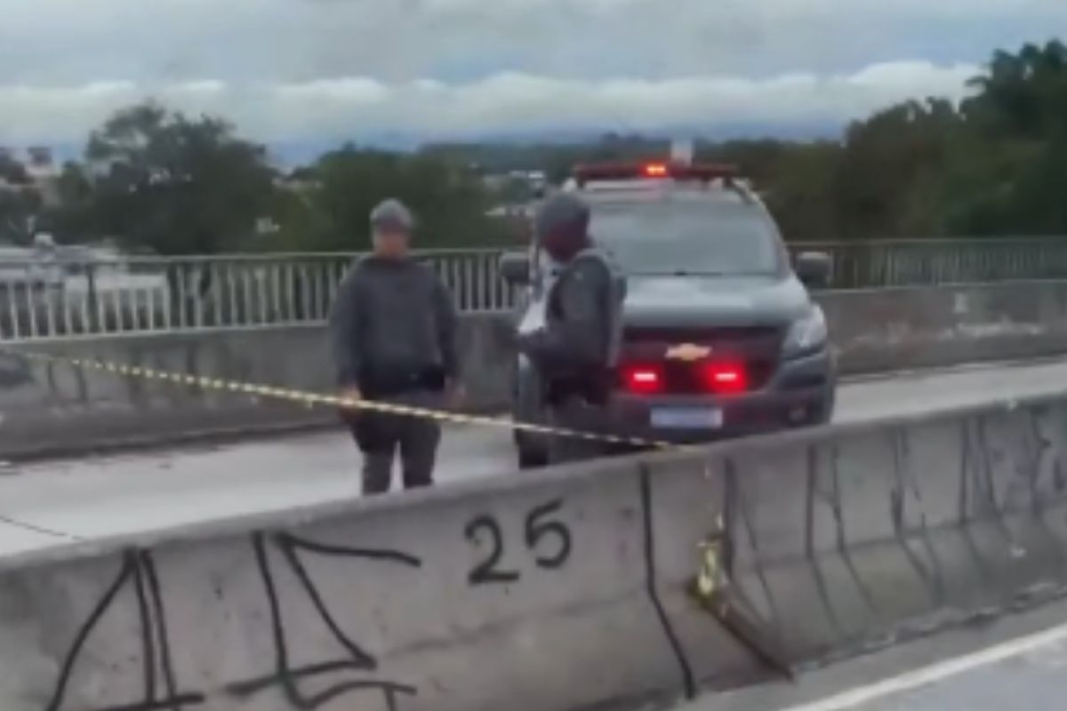 Duas armas de fogo foram apreendidas: uma pistola e um revólver (Foto: Reprodução/Instagram/@portaljardimhelenazl)