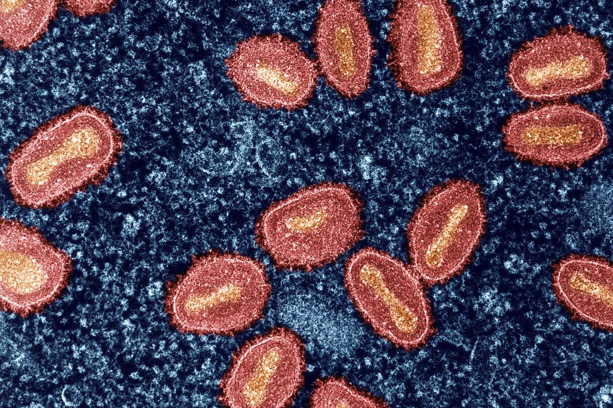 Foto: Reprodução/Divulgação